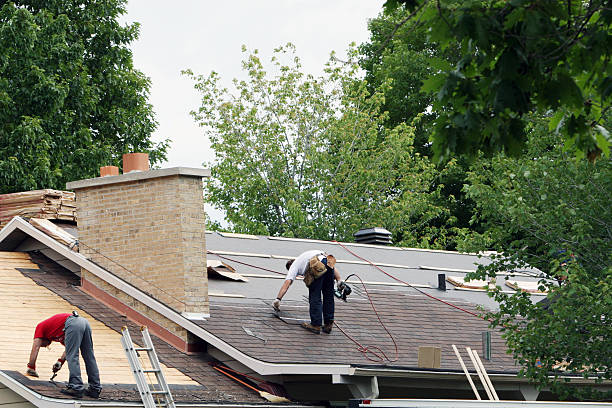 Best Roof Gutter Cleaning  in Fitchburg, MA